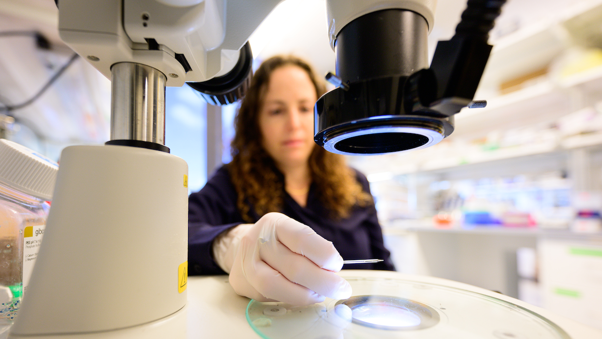 Tal Iram holds a tiny quantity of CSF in a glass needle