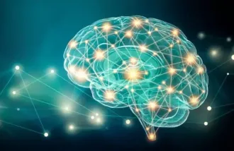 Graphic design of brain connections