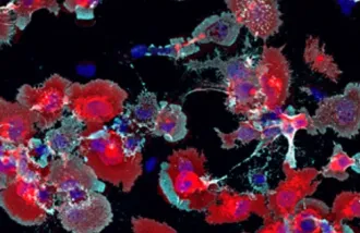 A microscope image showing molecules in red, blue, and cyan.