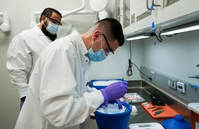 Two people at work in the lab
