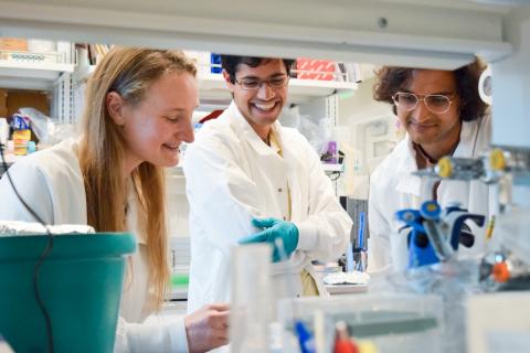 Postdoc scholars Claire Bedbrook and Ravi Nath working in the Brunet Lab with PhD student Rahul Nagvekar 